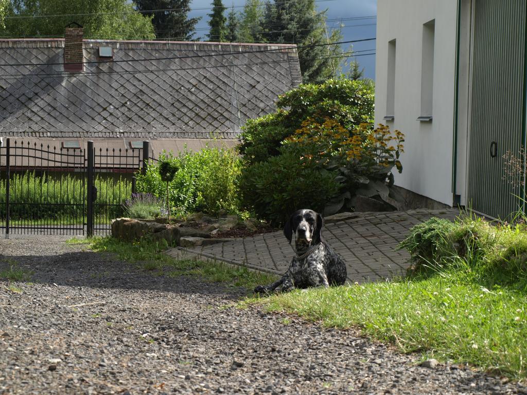 Guest House Luft Sneznik Exterior foto