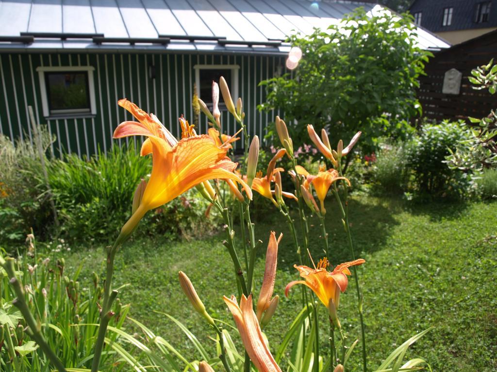 Guest House Luft Sneznik Exterior foto